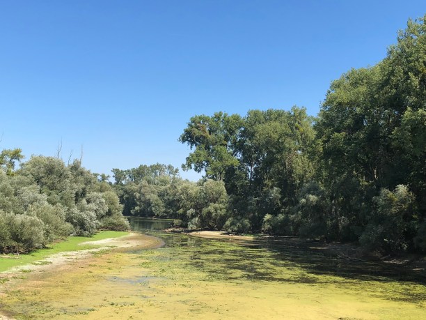 1E6E0755-B04A-466D-9D73-9D2681FEF7B3