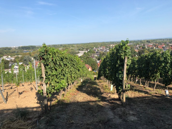 6326F3BB-9FEA-4B86-BC6F-BF0D8C991BED