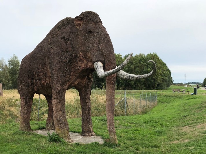 803FAFB7-A98A-441E-B7F4-8C7E1B86BF45