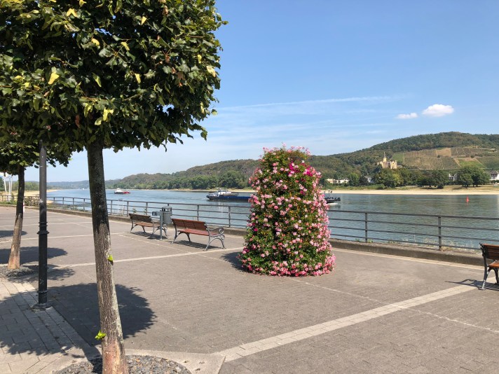 8D240AB7-73D4-485B-98D9-8AFDBC77BD17