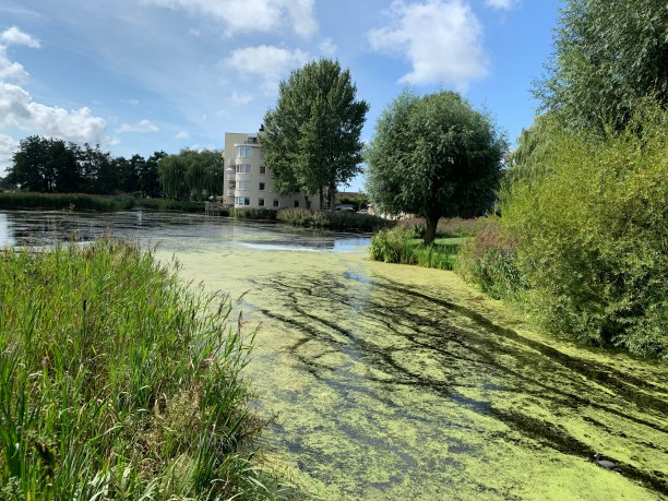 28011E41-476B-488A-A93F-A6225439F556