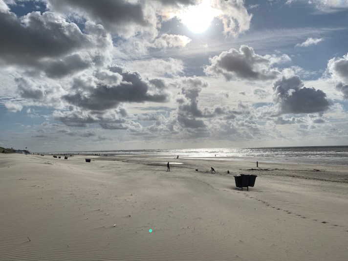 5FDE18F6-C91E-48D0-8028-CE4F306ECE59